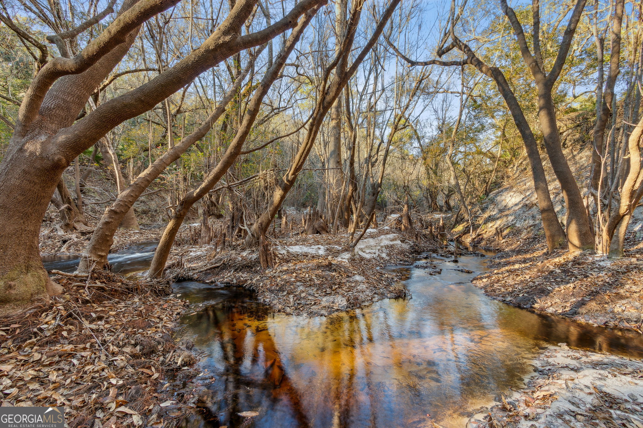 0 State Road 185 St. George, GA 31562 - Photo 5 of 62