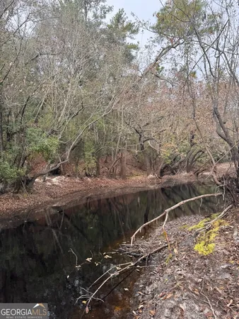 $425,000 | 0 State Road 185, St. George, GA 31562