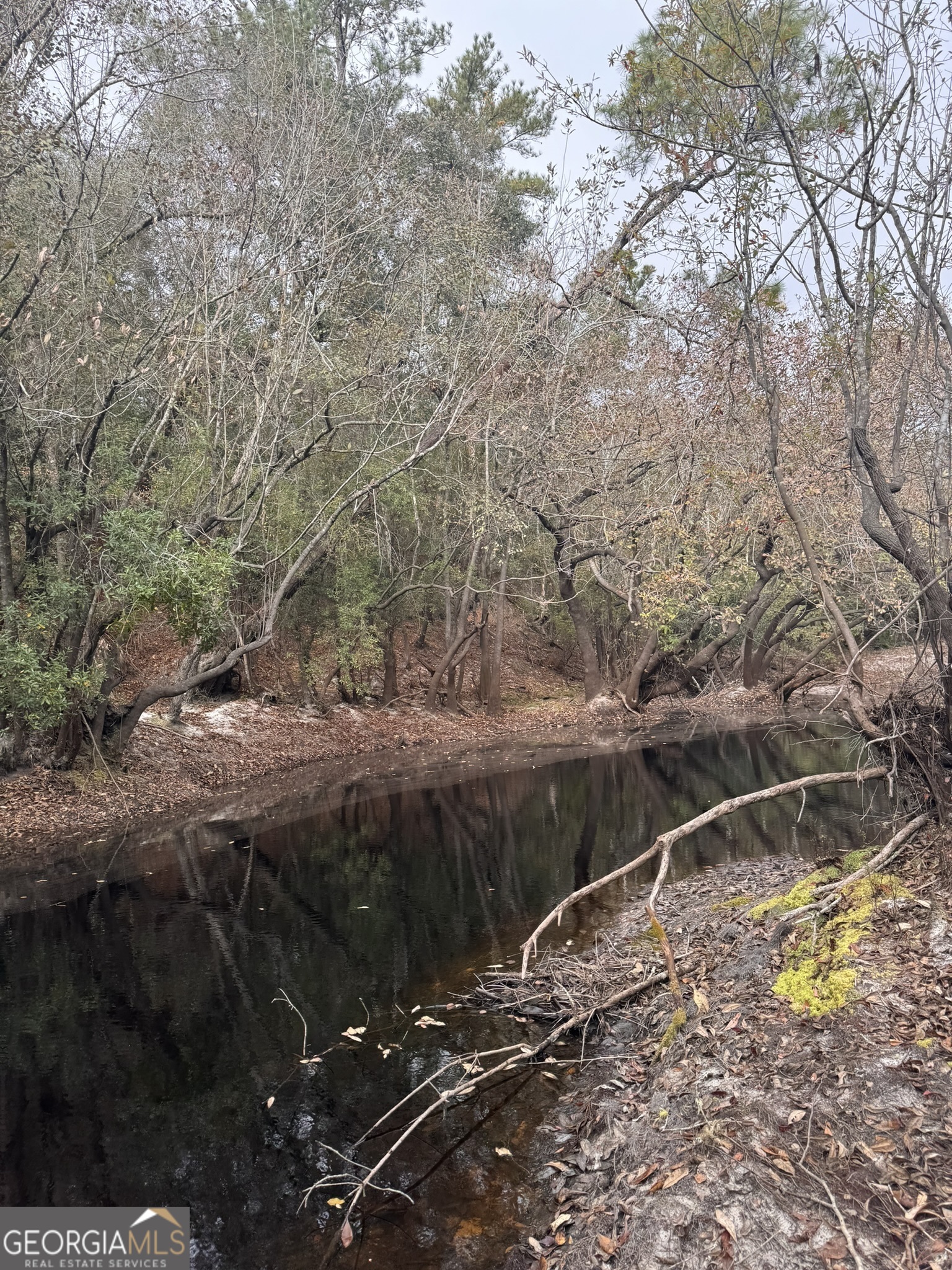 0 State Road 185 St. George, GA 31562 - Photo 51 of 62