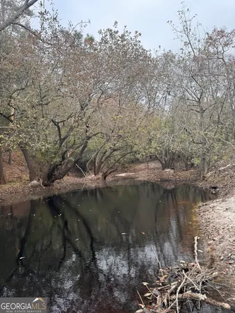 $425,000 | 0 State Road 185, St. George, GA 31562