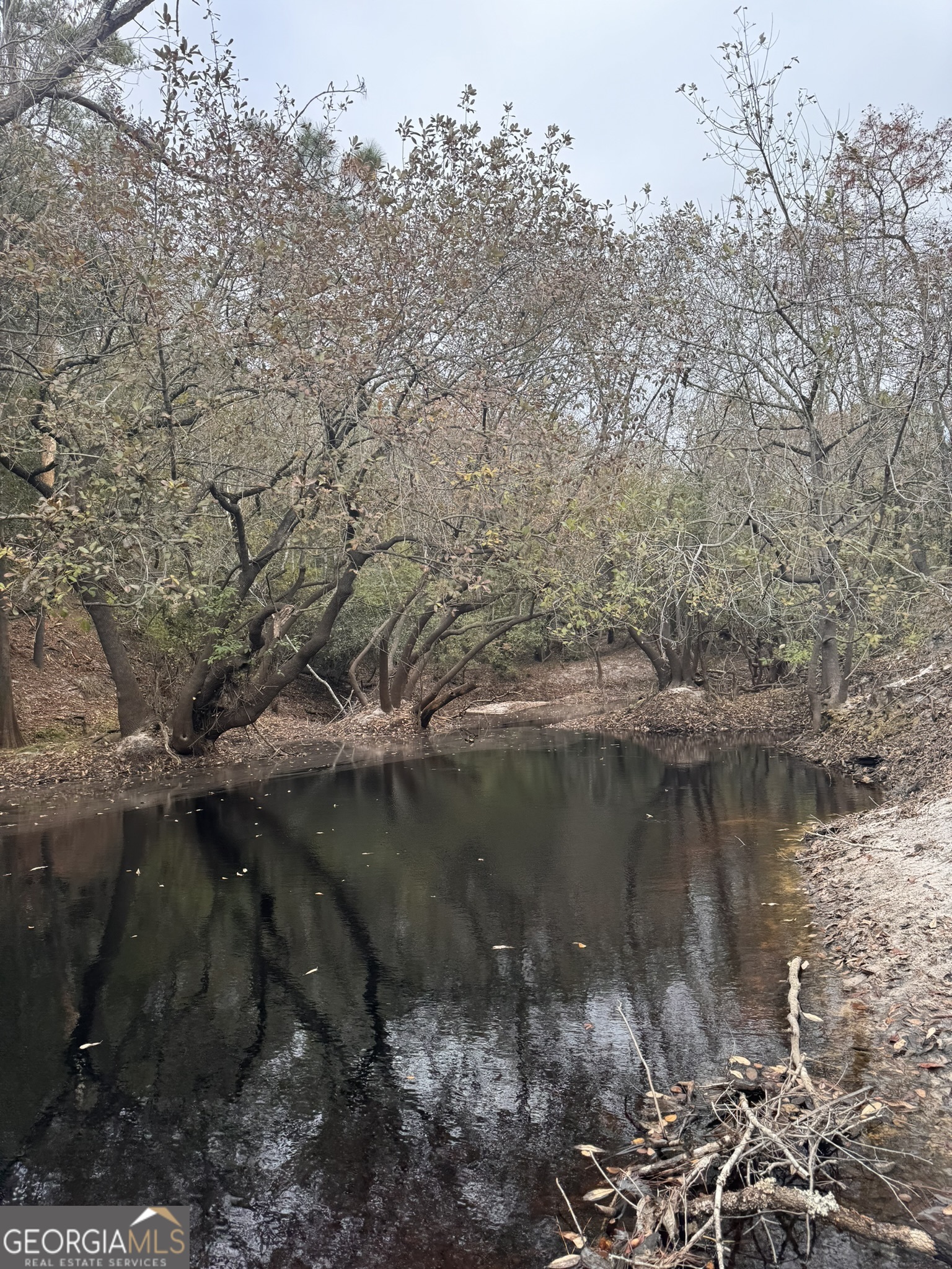 0 State Road 185 St. George, GA 31562 - Photo 52 of 62