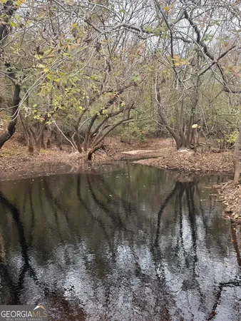 $425,000 | 0 State Road 185, St. George, GA 31562