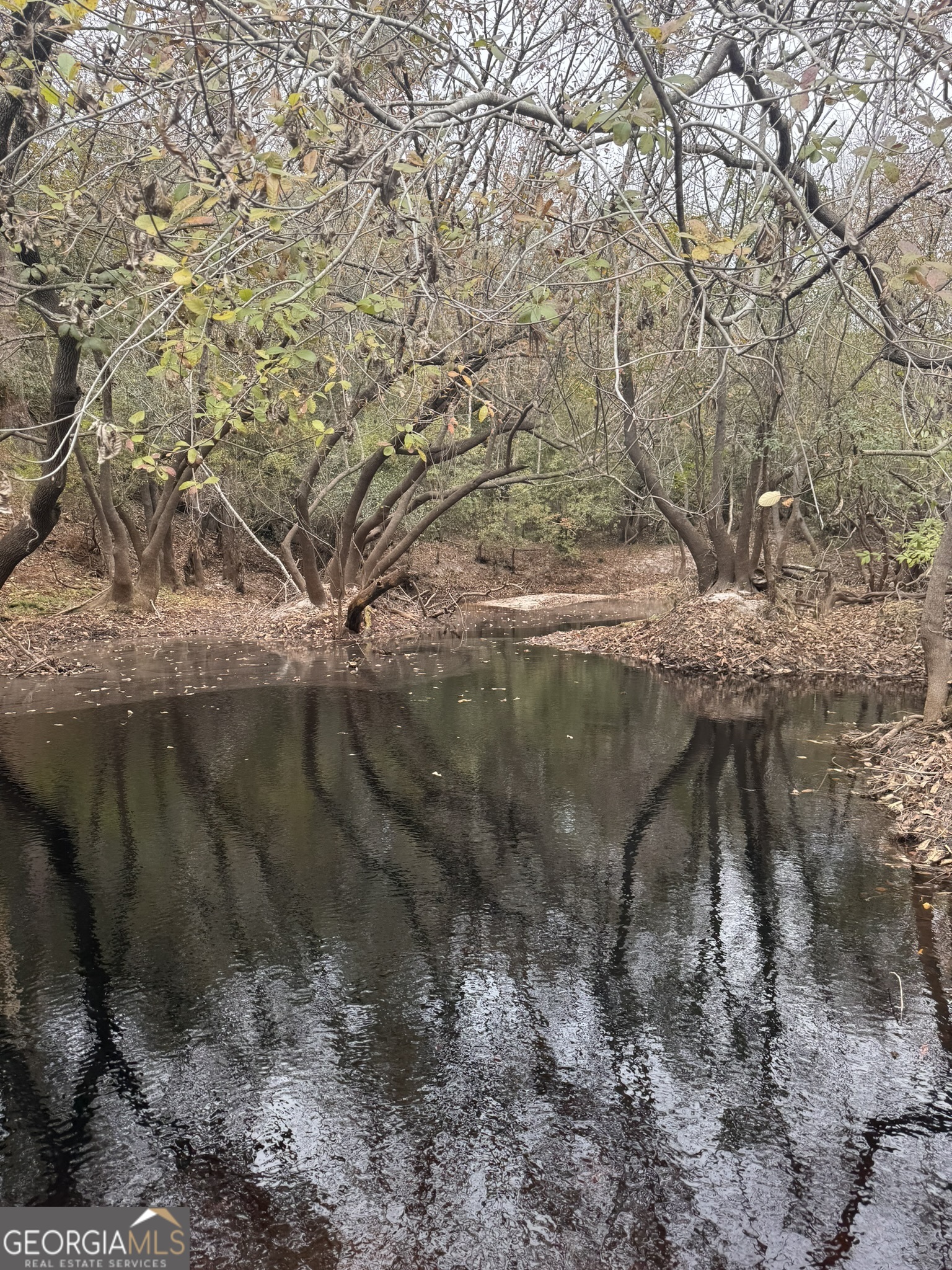 0 State Road 185 St. George, GA 31562 - Photo 53 of 62