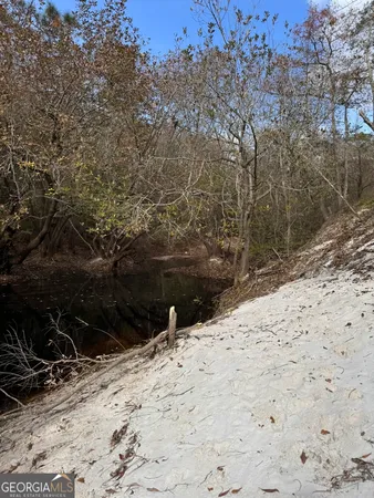 $425,000 | 0 State Road 185, St. George, GA 31562