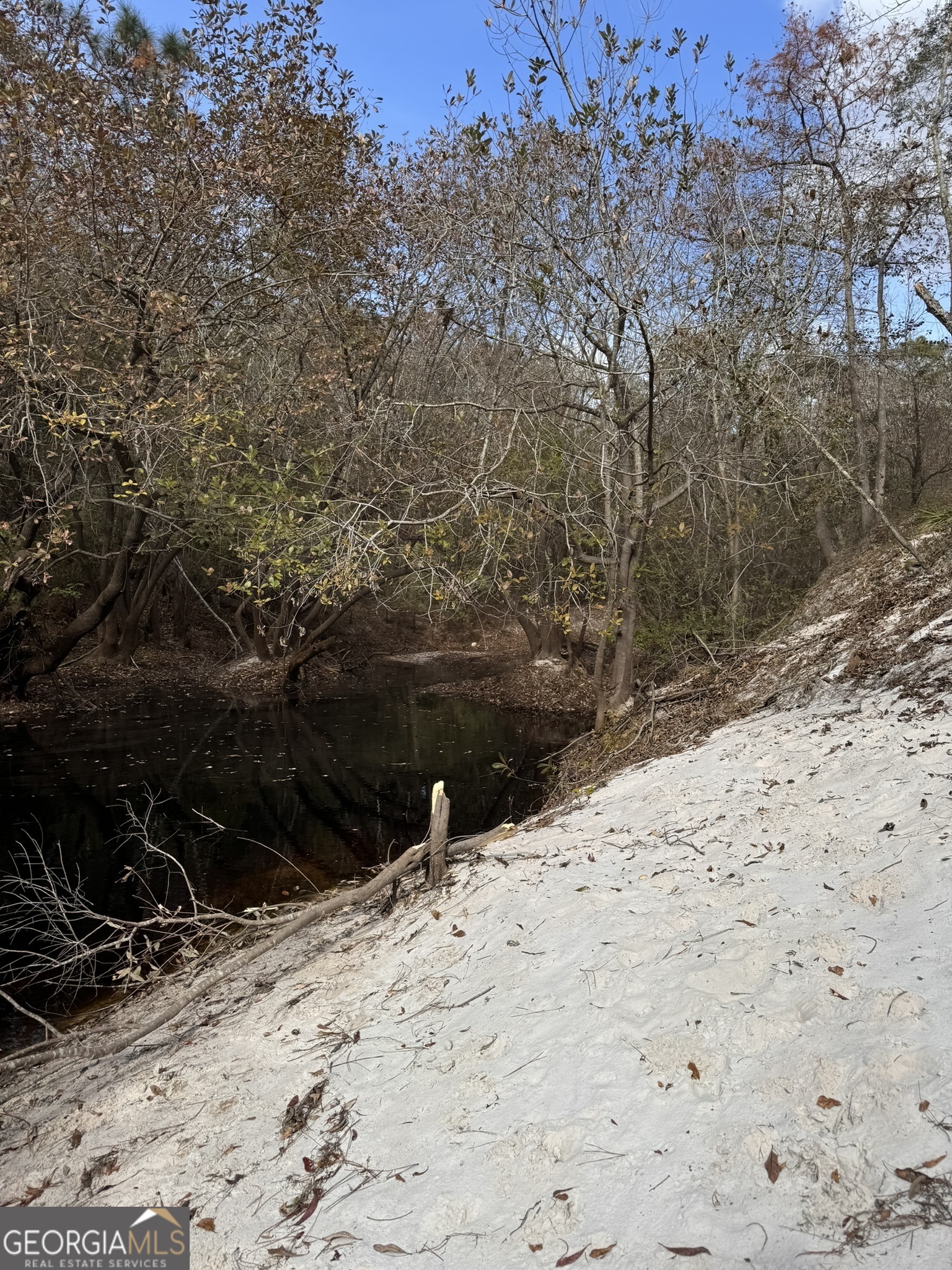 0 State Road 185 St. George, GA 31562 - Photo 54 of 62