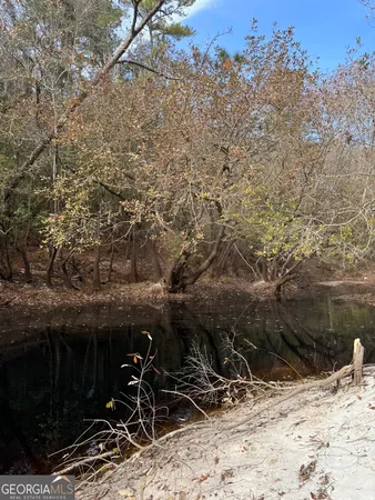 $425,000 | 0 State Road 185, St. George, GA 31562