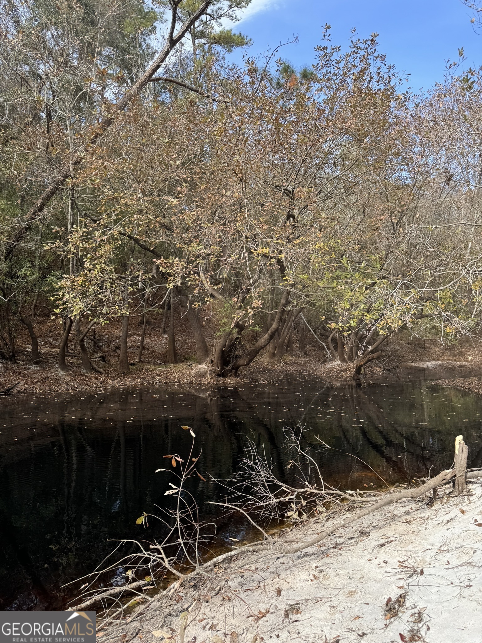 0 State Road 185 St. George, GA 31562 - Photo 55 of 62