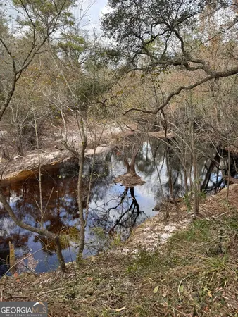 $425,000 | 0 State Road 185, St. George, GA 31562