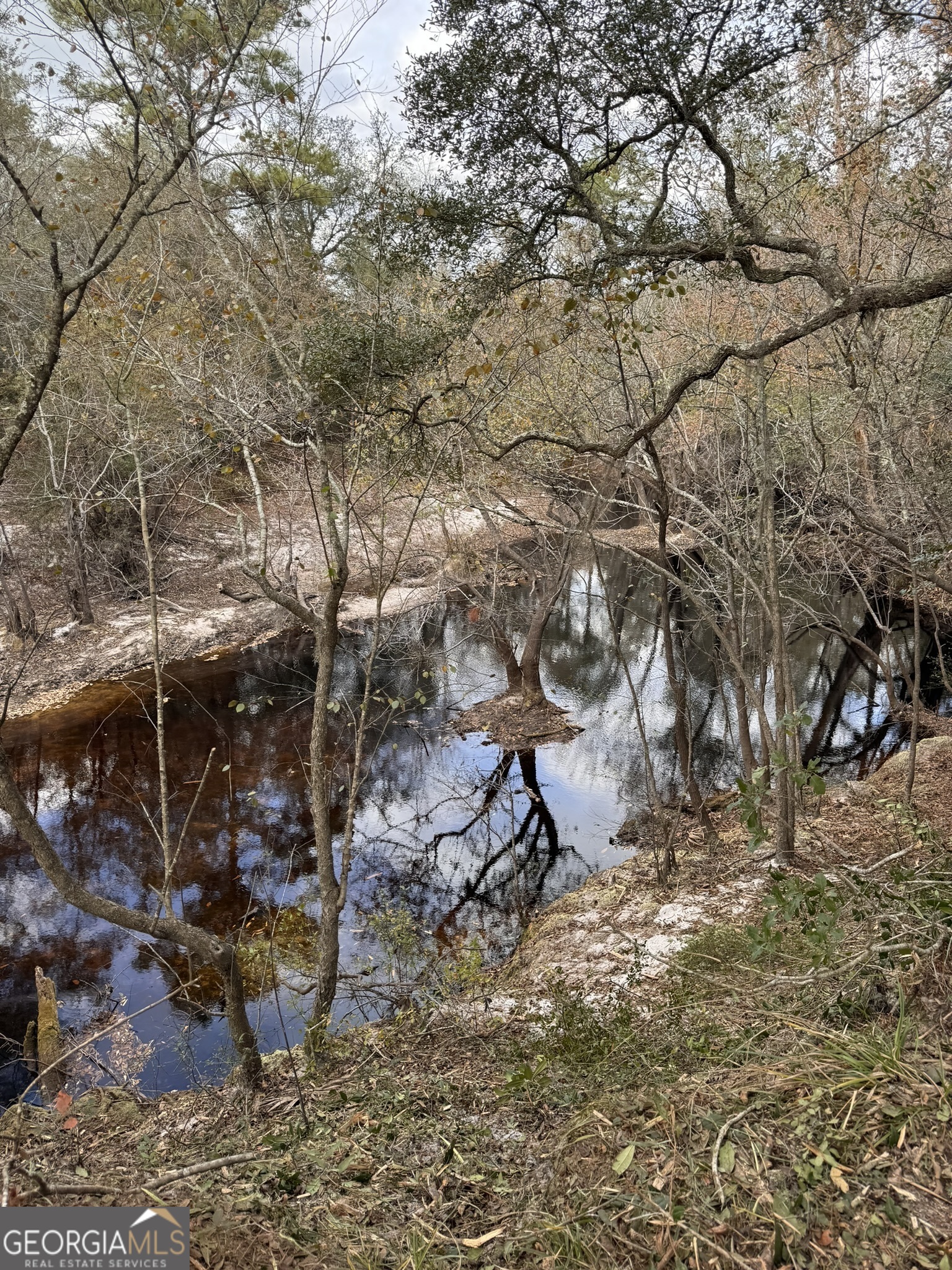 0 State Road 185 St. George, GA 31562 - Photo 56 of 62