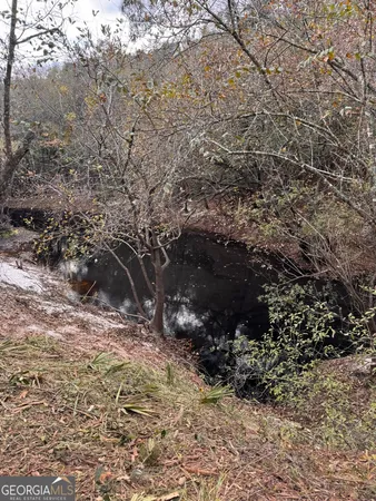 $425,000 | 0 State Road 185, St. George, GA 31562