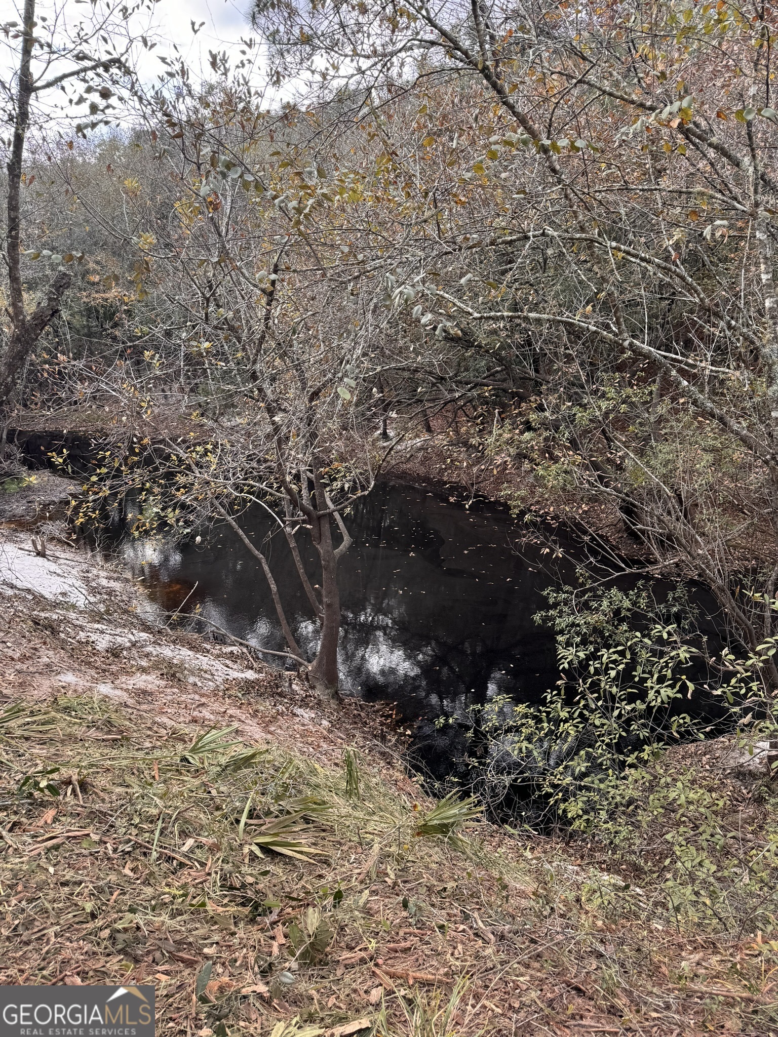 0 State Road 185 St. George, GA 31562 - Photo 57 of 62