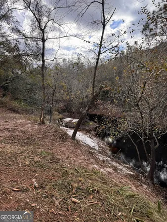 $425,000 | 0 State Road 185, St. George, GA 31562