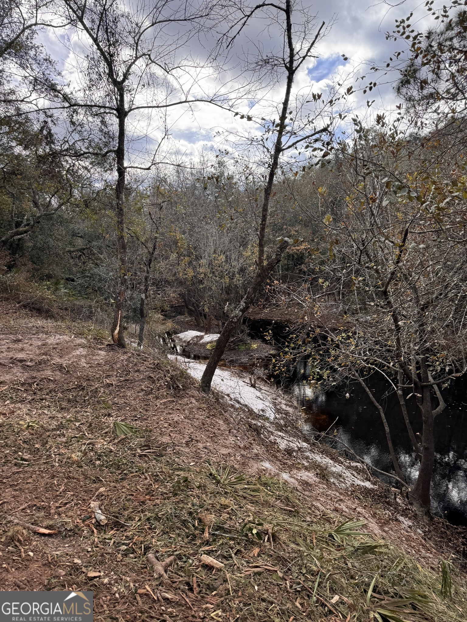 0 State Road 185 St. George, GA 31562 - Photo 58 of 62