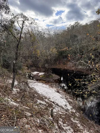 $425,000 | 0 State Road 185, St. George, GA 31562