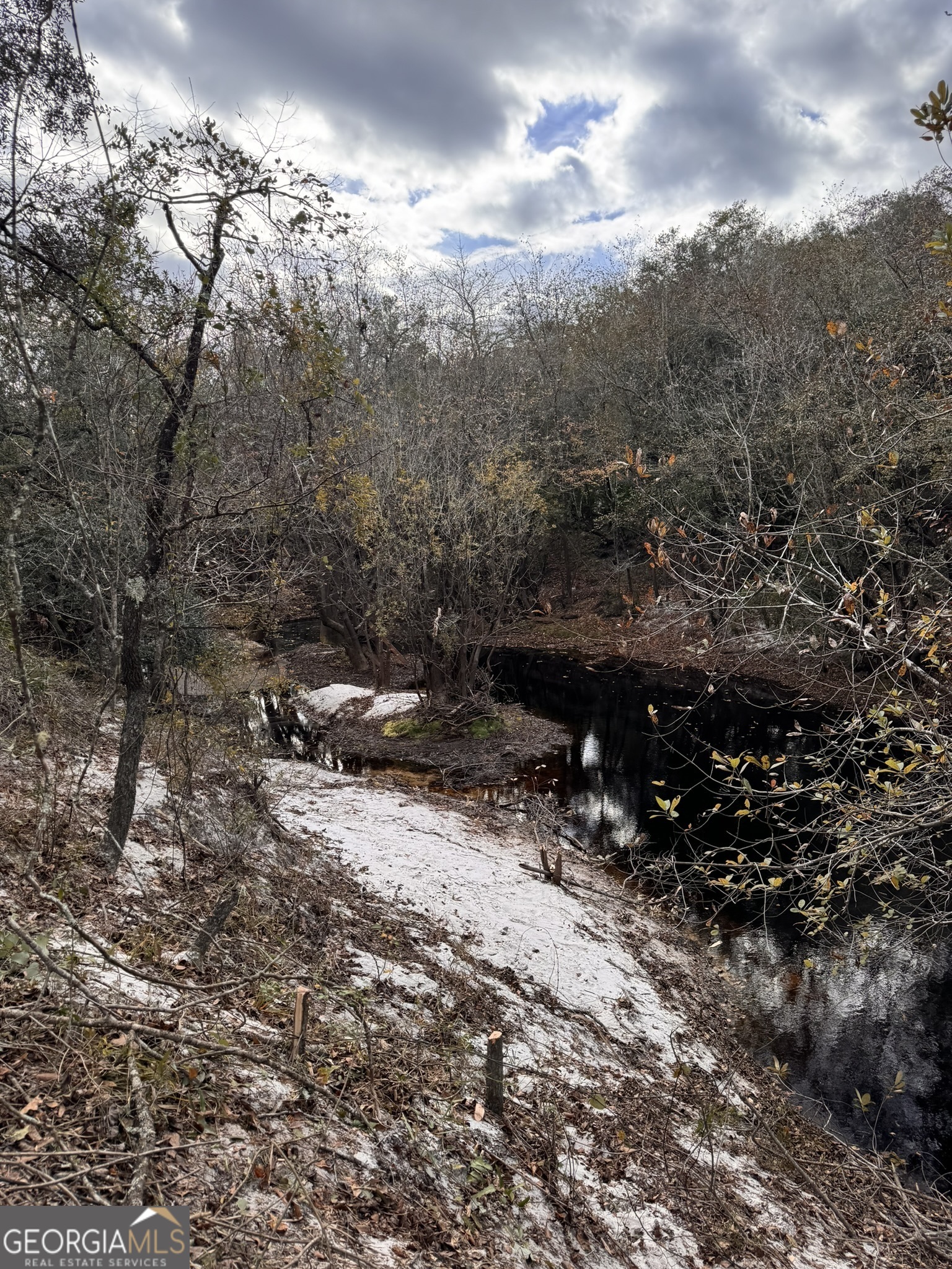 0 State Road 185 St. George, GA 31562 - Photo 59 of 62