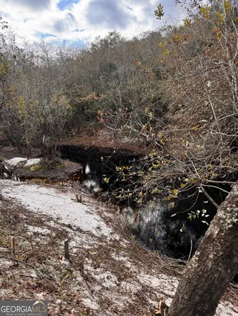 $425,000 | 0 State Road 185, St. George, GA 31562