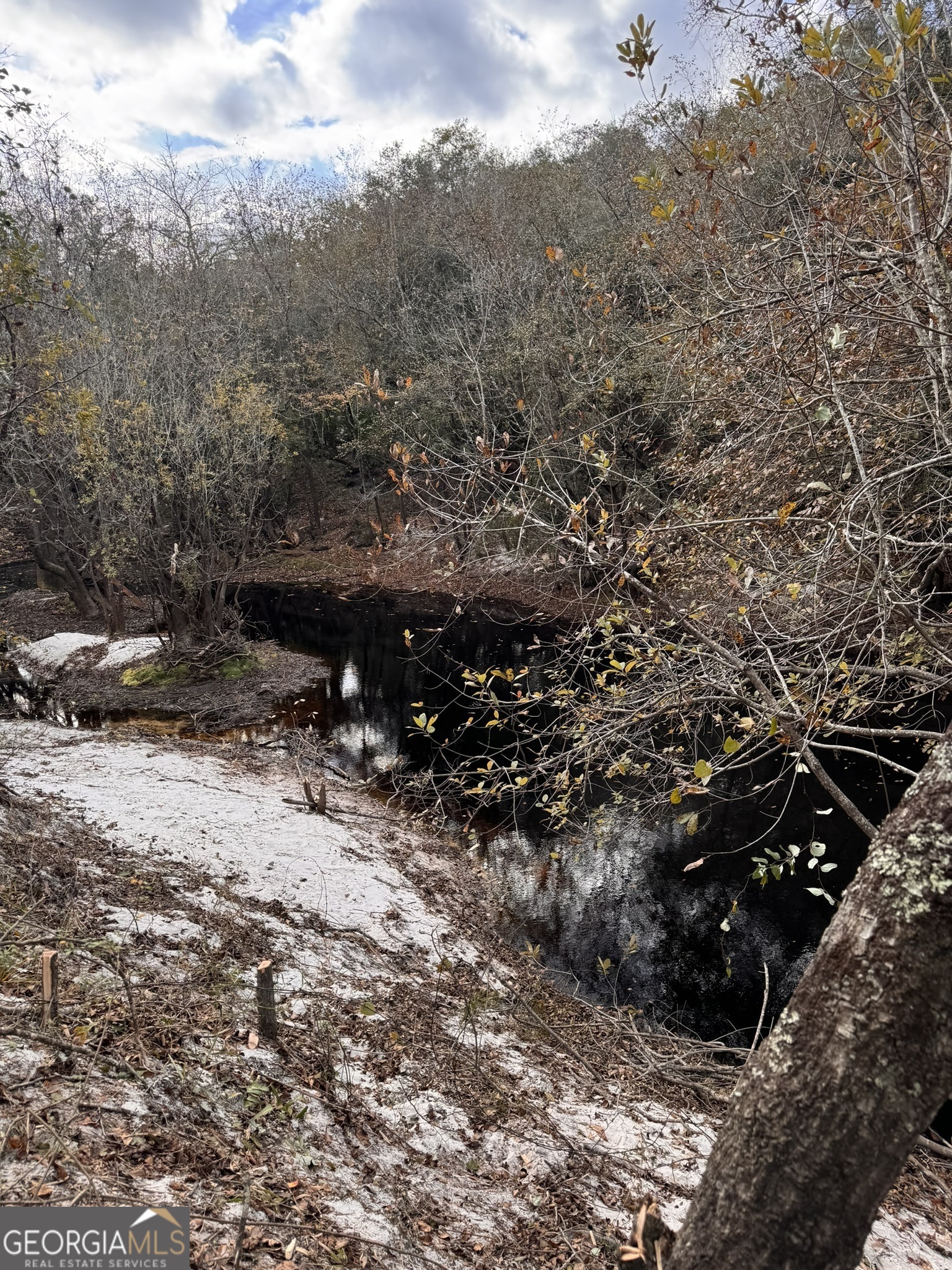 0 State Road 185 St. George, GA 31562 - Photo 60 of 62