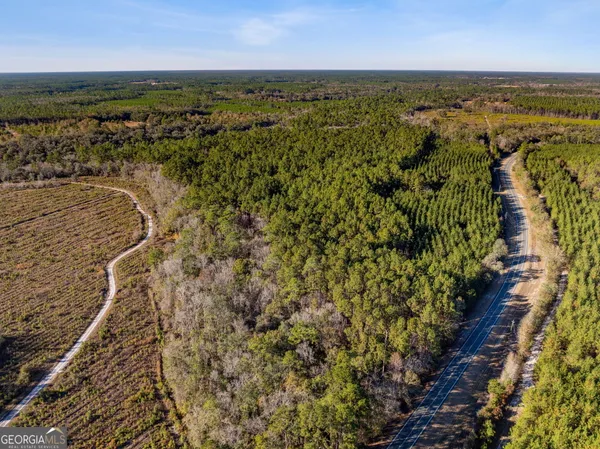 $425,000 | 0 State Road 185, St. George, GA 31562