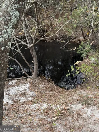 $425,000 | 0 State Road 185, St. George, GA 31562