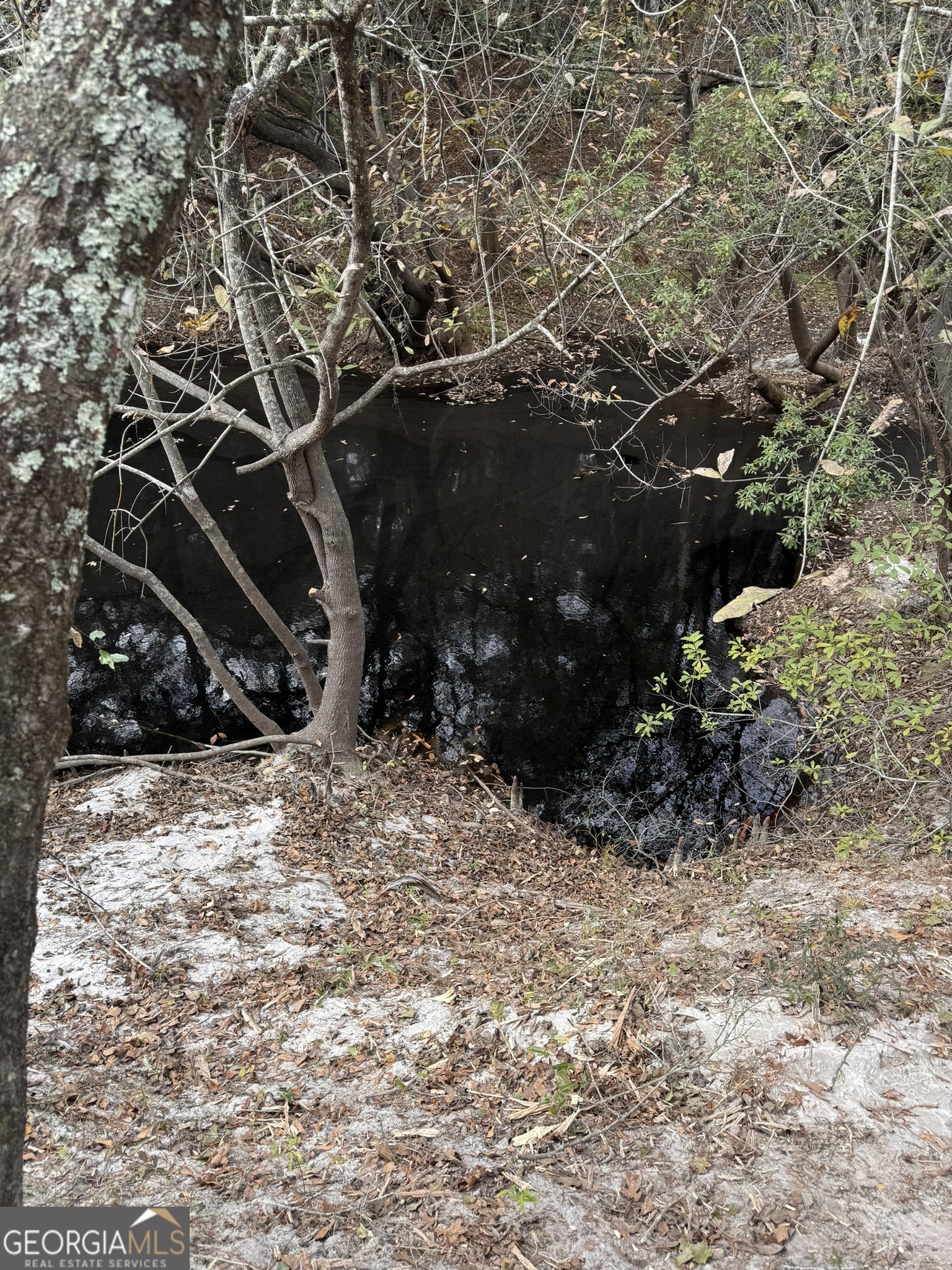 0 State Road 185 St. George, GA 31562 - Photo 61 of 62