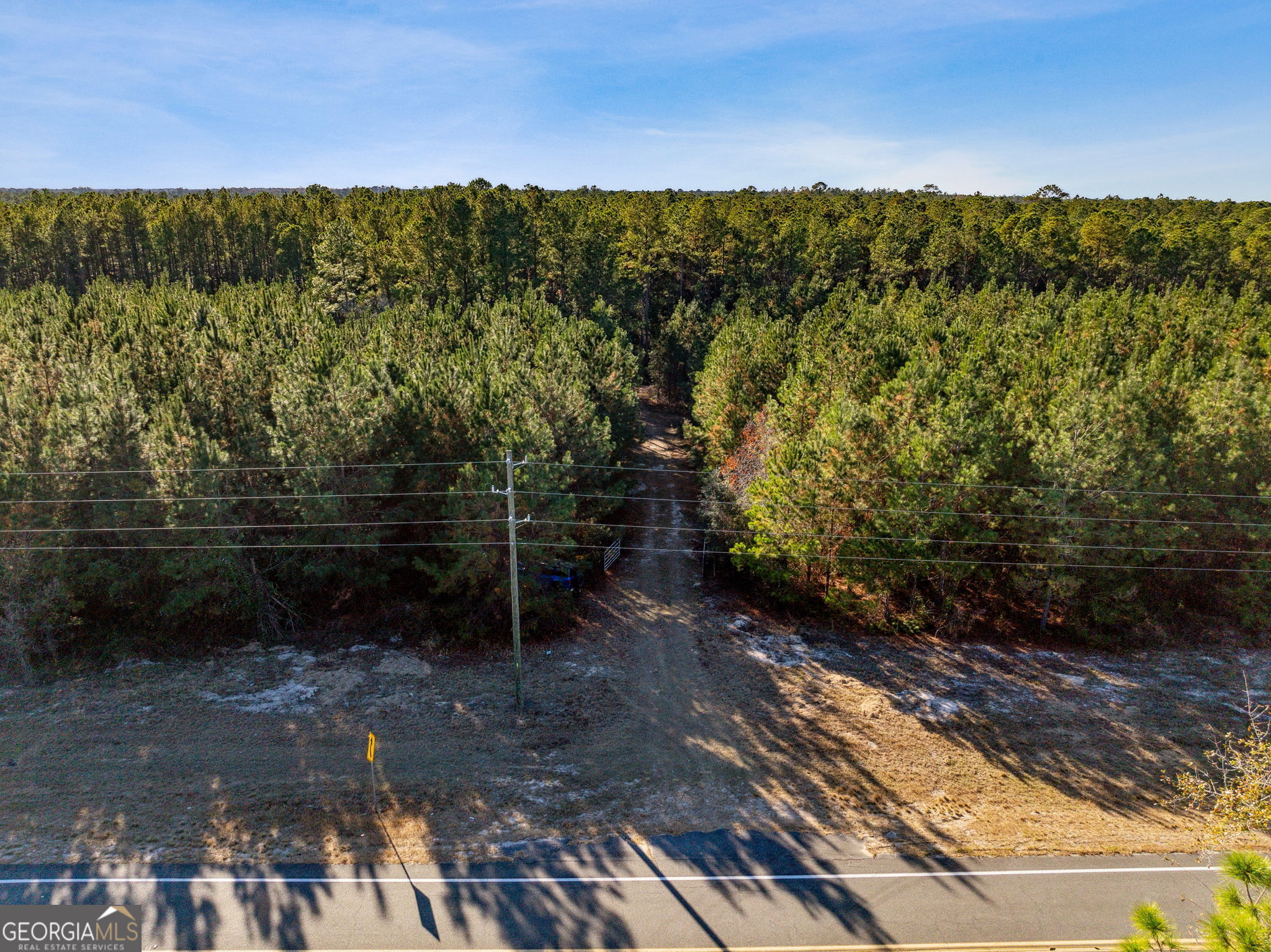 0 State Road 185 St. George, GA 31562 - Photo 7 of 62