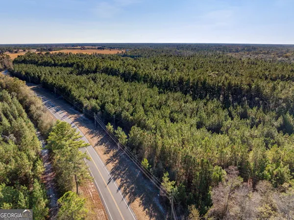 $425,000 | 0 State Road 185, St. George, GA 31562