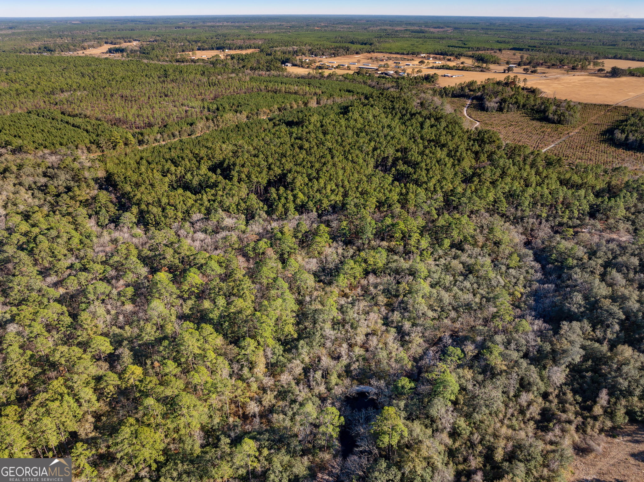 0 State Road 185 St. George, GA 31562 - Photo 9 of 62