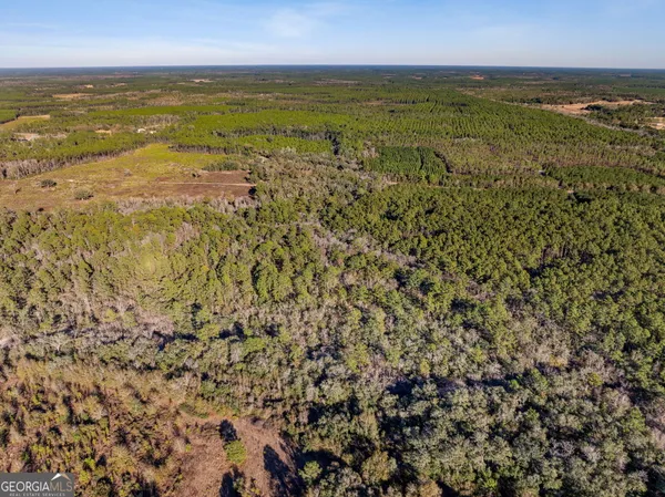 $425,000 | 0 State Road 185, St. George, GA 31562