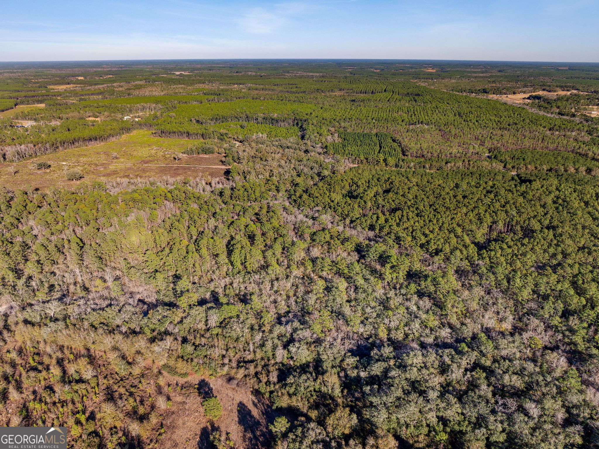 0 State Road 185 St. George, GA 31562 - Photo 10 of 62