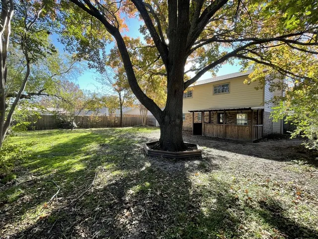 a view of a yard with plants and a large tree