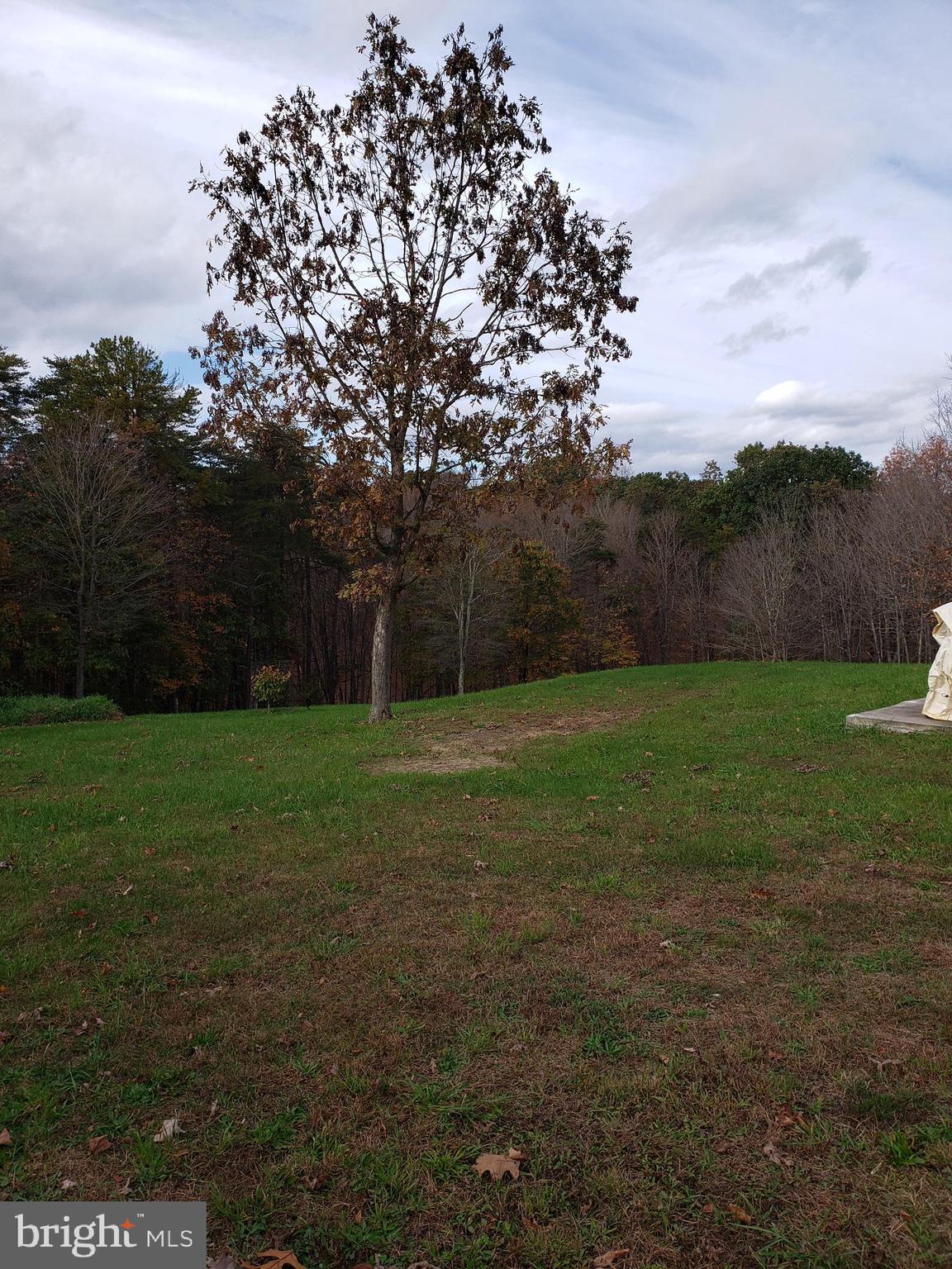 820 Packing House Road Berkeley Springs, WV 25411 - Photo 13 of 34 rear pasture