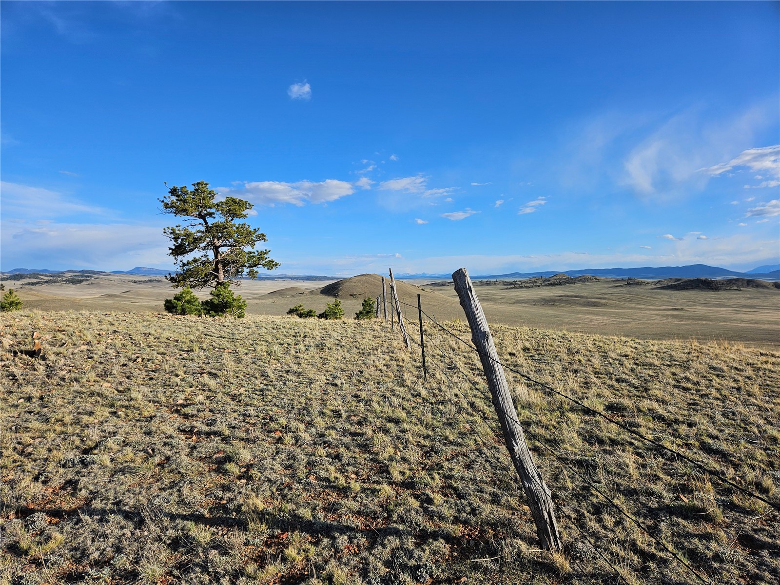 Pcs#24142 Antero Road Hartsel, CO 80449 - Photo 35 of 50