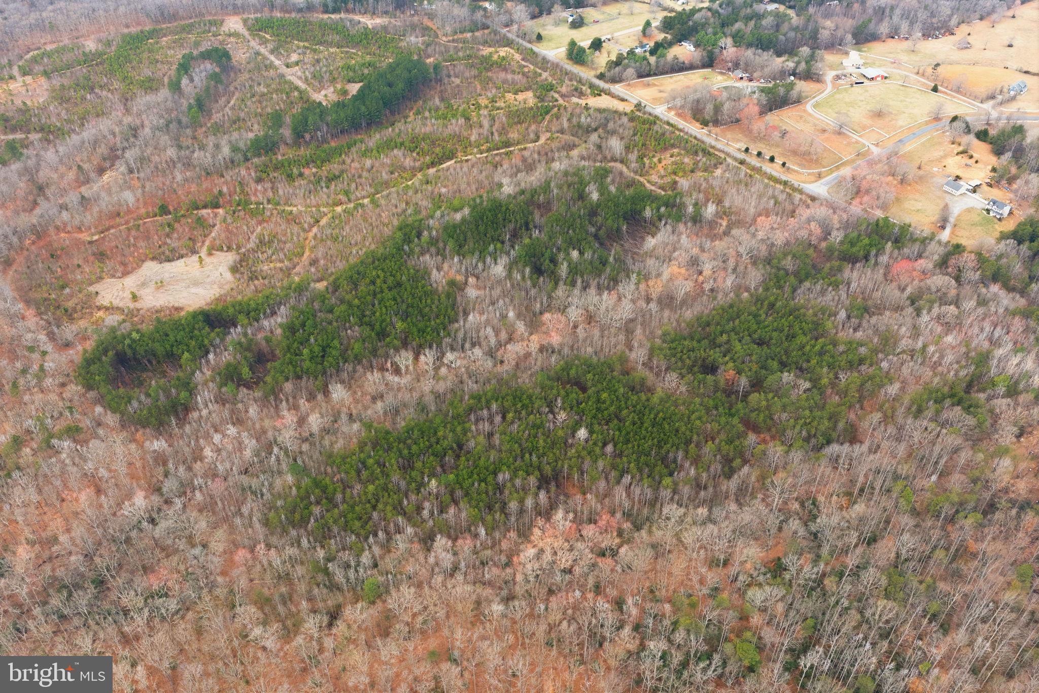 5239 Dickerson Road Partlow, VA 22534 - Photo 2 of 15 a view of a forest