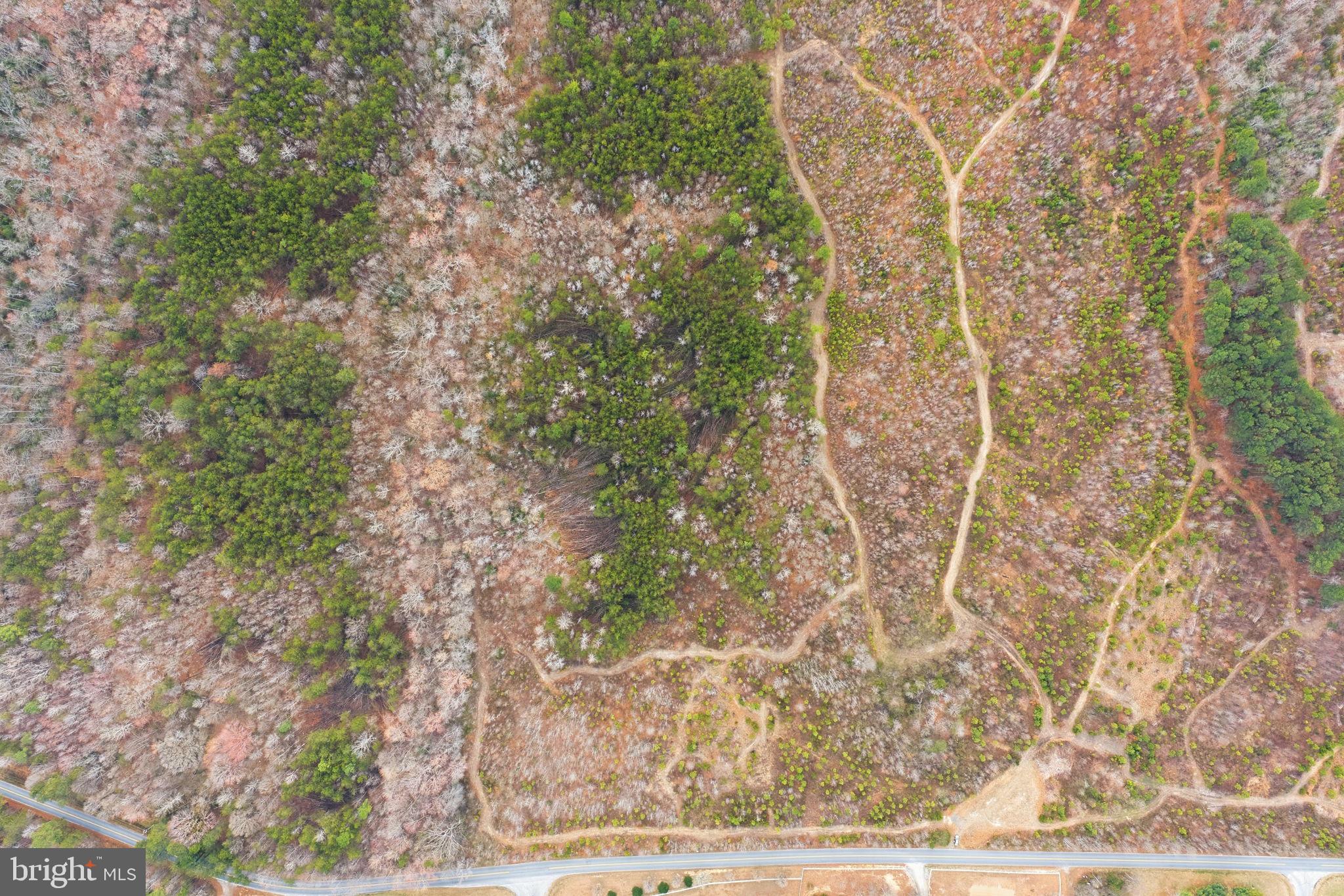 5239 Dickerson Road Partlow, VA 22534 - Photo 3 of 15 a view of a yard