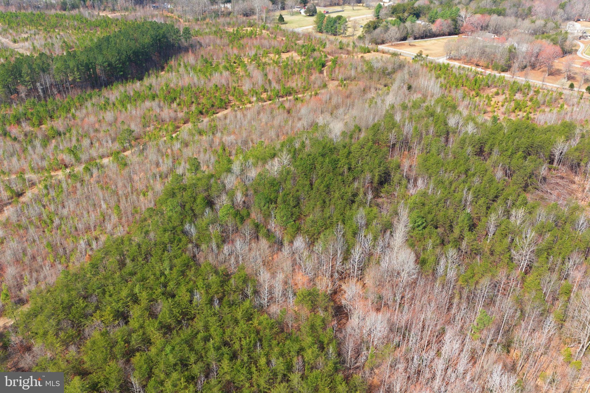 5239 Dickerson Road Partlow, VA 22534 - Photo 8 of 15 a view of a yard