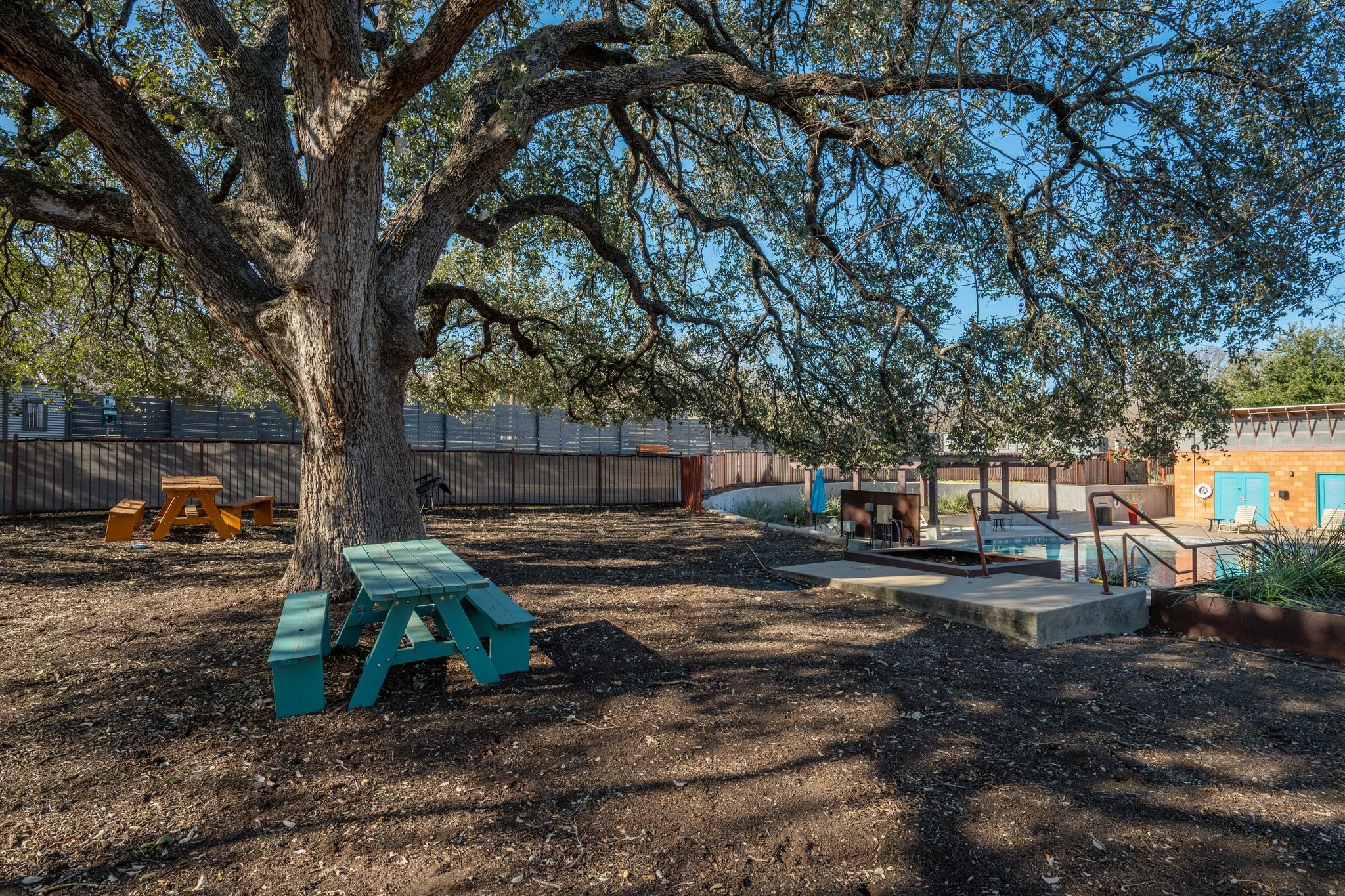 2905 Saville Loop Austin, TX 78741 - Photo 27 of 30 a view of a yard with a tree