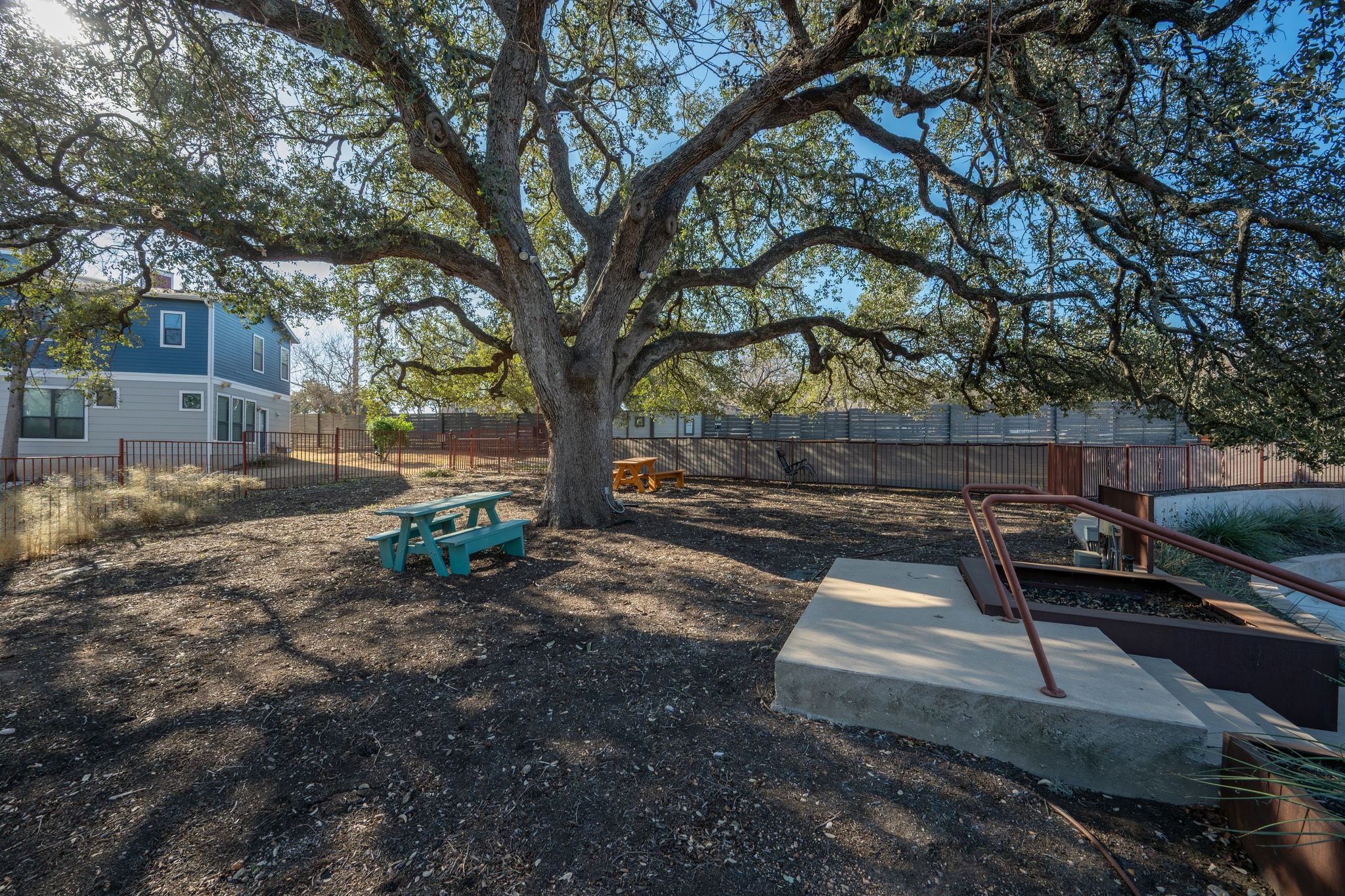 2905 Saville Loop Austin, TX 78741 - Photo 28 of 30 a view of a yard with plants and a large tree