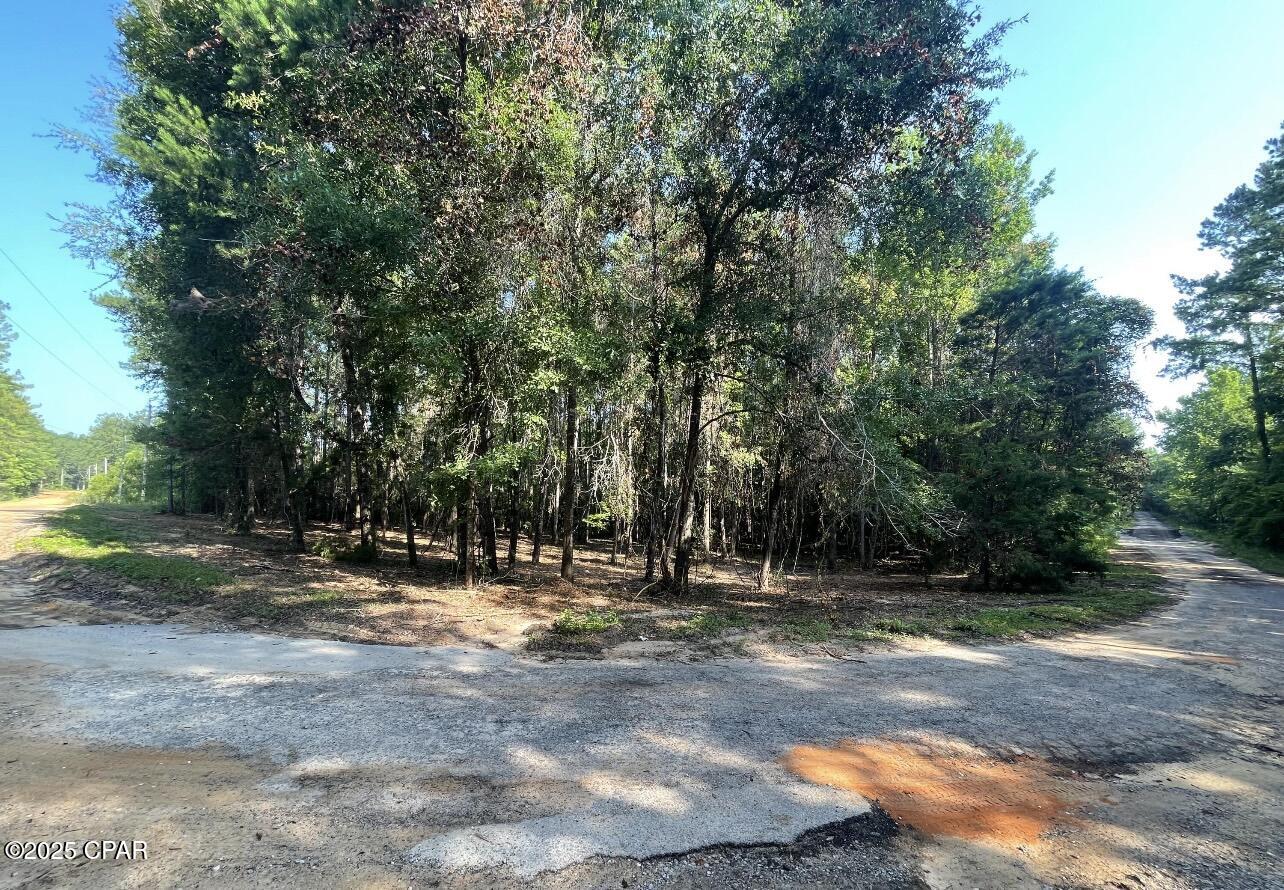0 Keenkutter Road Vernon, FL 32462 - Photo 3 of 4 Gallery Image 3