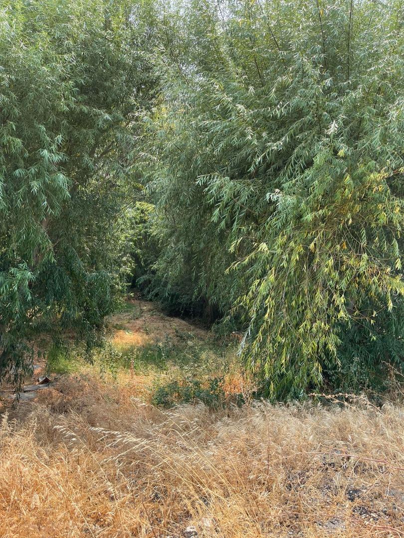 2340 Dutch Slough Road Oakley, CA 94561 - Photo 1 of 1 Gallery Image 1