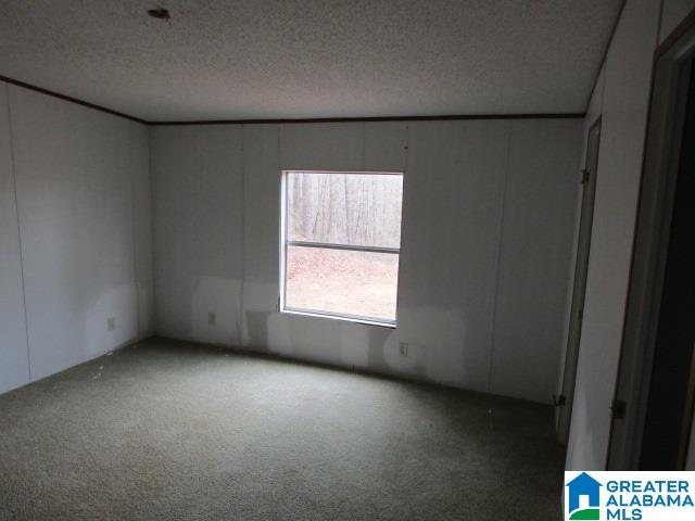945 Pine Road Pell City, AL 35125 - Photo 8 of 13