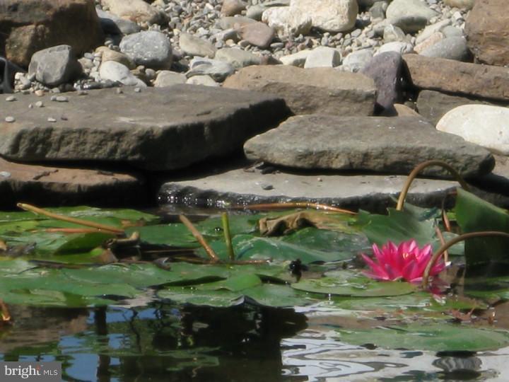 75 Rotterdam Road North Holland, PA 18966 - Photo 25 of 25 Lake / Pond