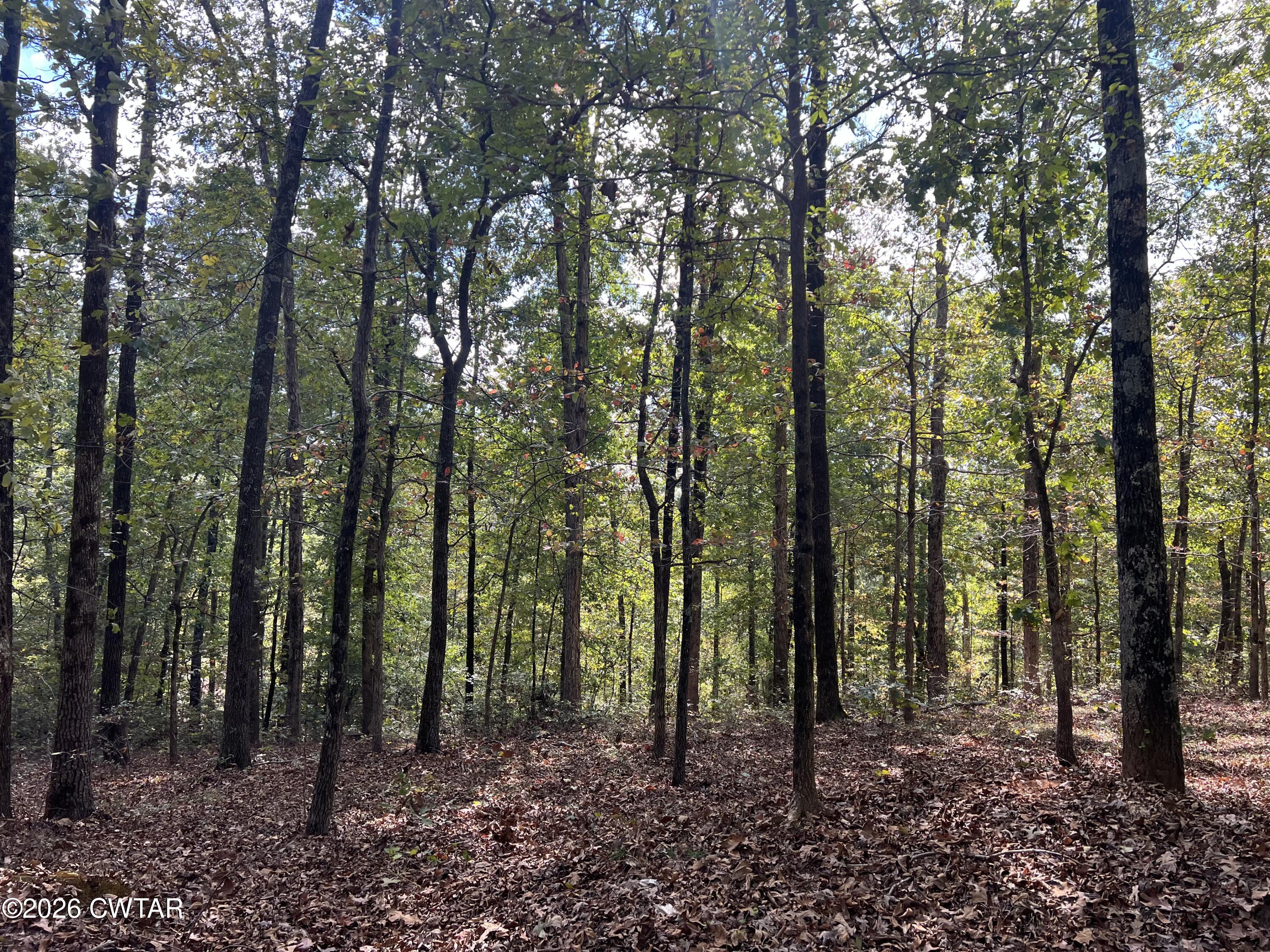 4600 Silerton Road Henderson, TN 38340 - Photo 2 of 16 IMG_0821