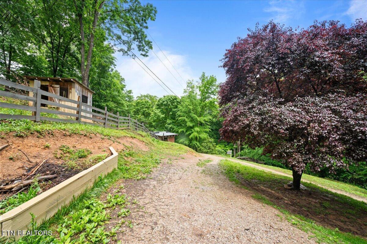 578 Fox Branch Road Clairfield, TN 37715 - Photo 30 of 38 33-578 Fox Branch Rd