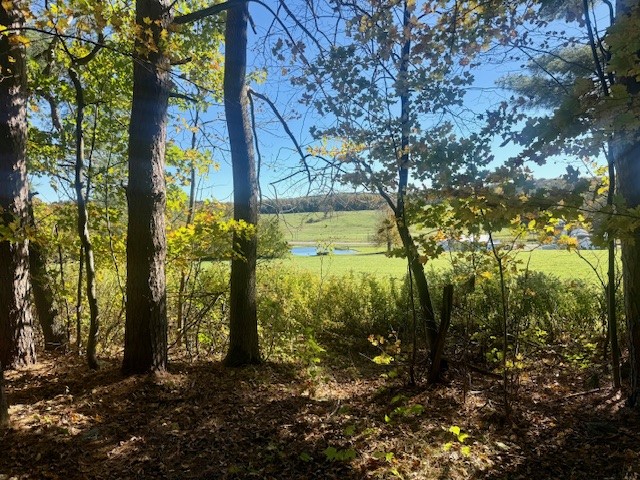 142 John Smith Road Pharsalia, NY 13844 - Photo 44 of 50 Gallery Image 44