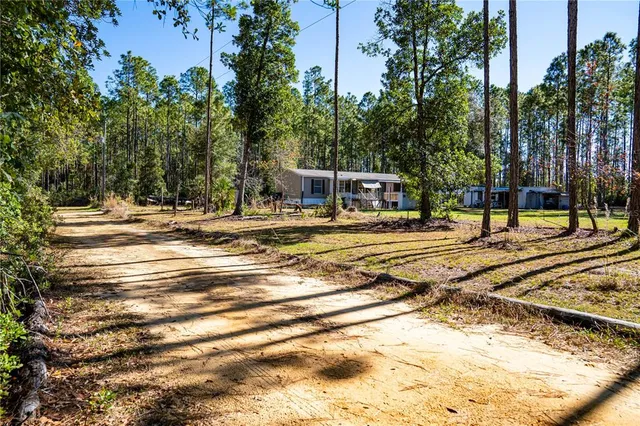 a view of a swimming pool with a lawn chairs and plants