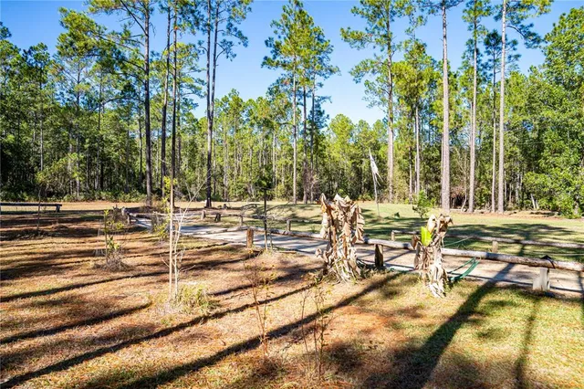 a view of a swimming pool with lawn chairs and plants