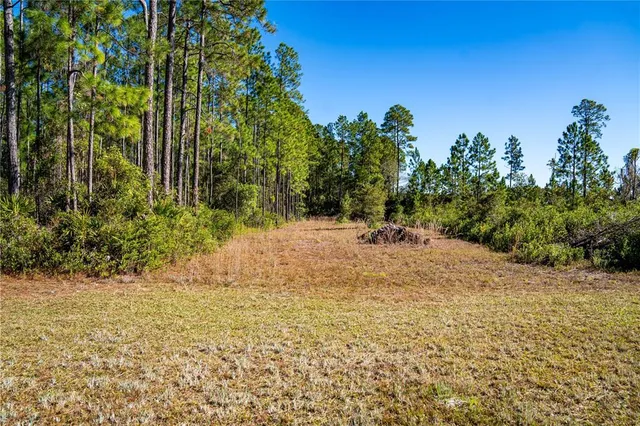 a view of outdoor space with trees