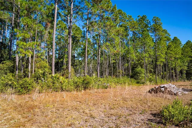 $15,000 | 101 Thyme Drive, Interlachen, FL 32148