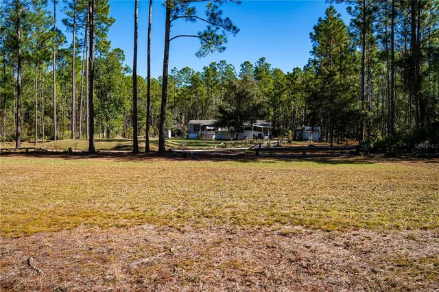a view of swimming pool with outdoor seating and trees