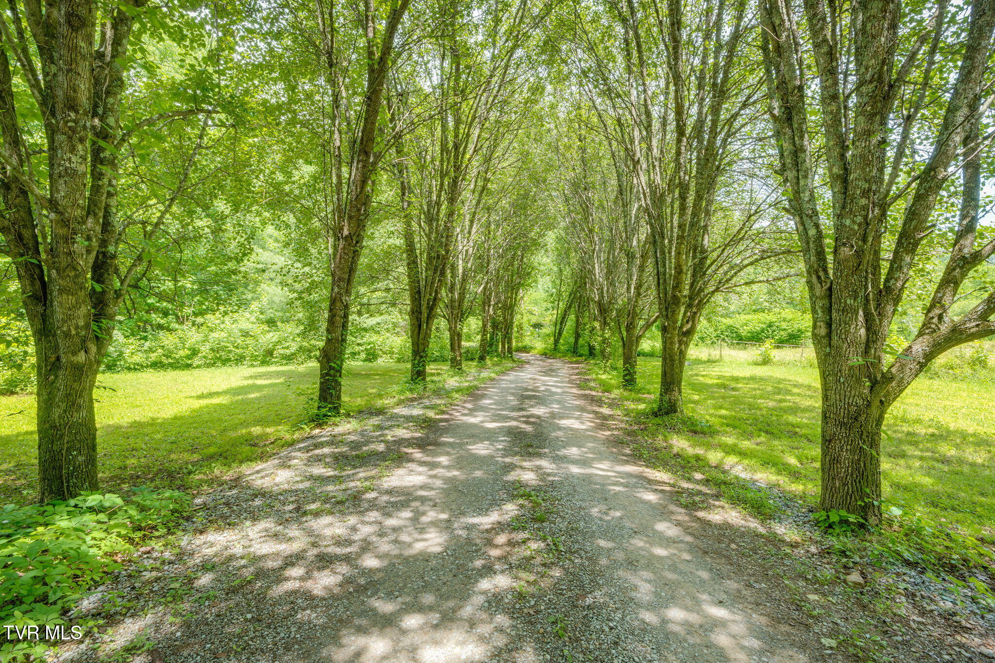 959 Dry Creek Road Jonesborough, TN 37659 - Photo 44 of 54 044